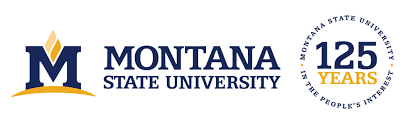 Montana State University - logo